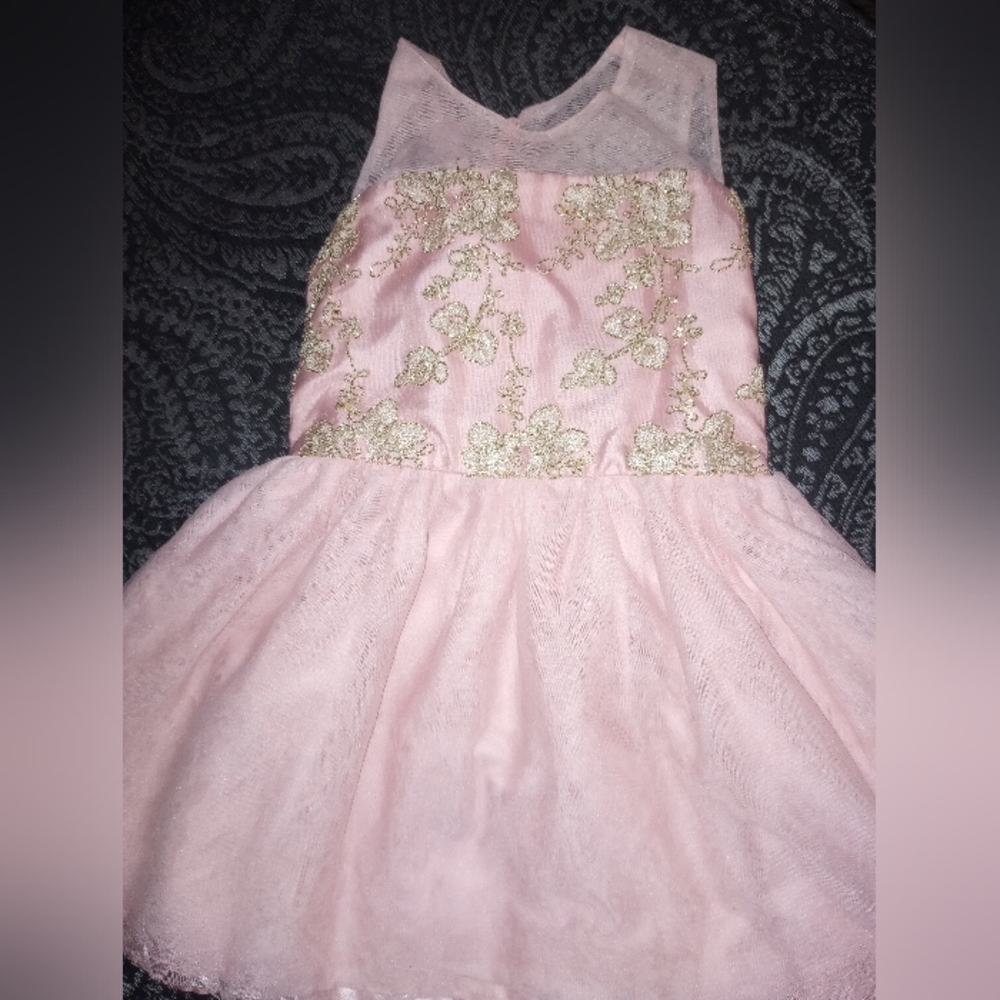 Girls Pink and Gold Floral Dress
